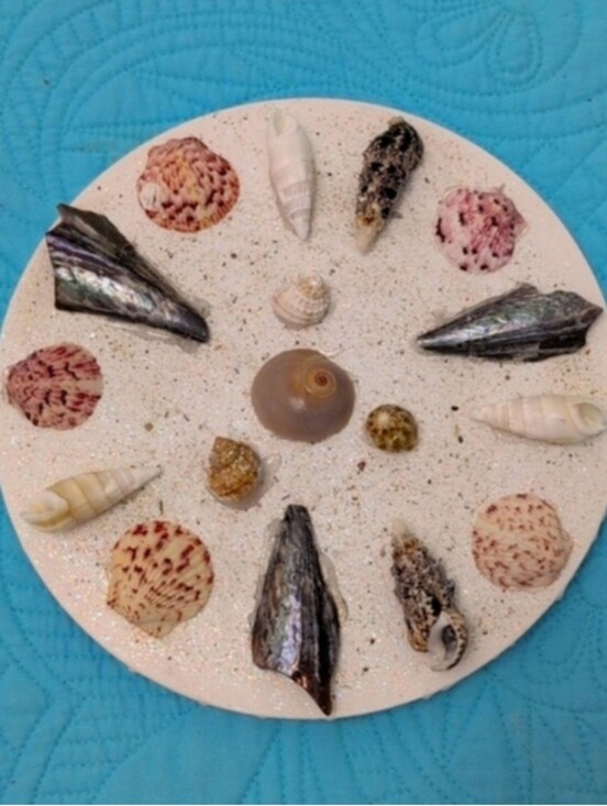 Other - Seashell Art Wall Art. Home Decor Beach Art  Coastal Home Goods